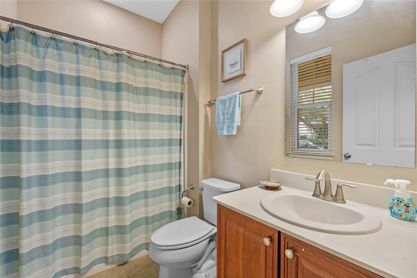 8137 SURF BIRD ST, WINTER GARDEN, FL, 34787