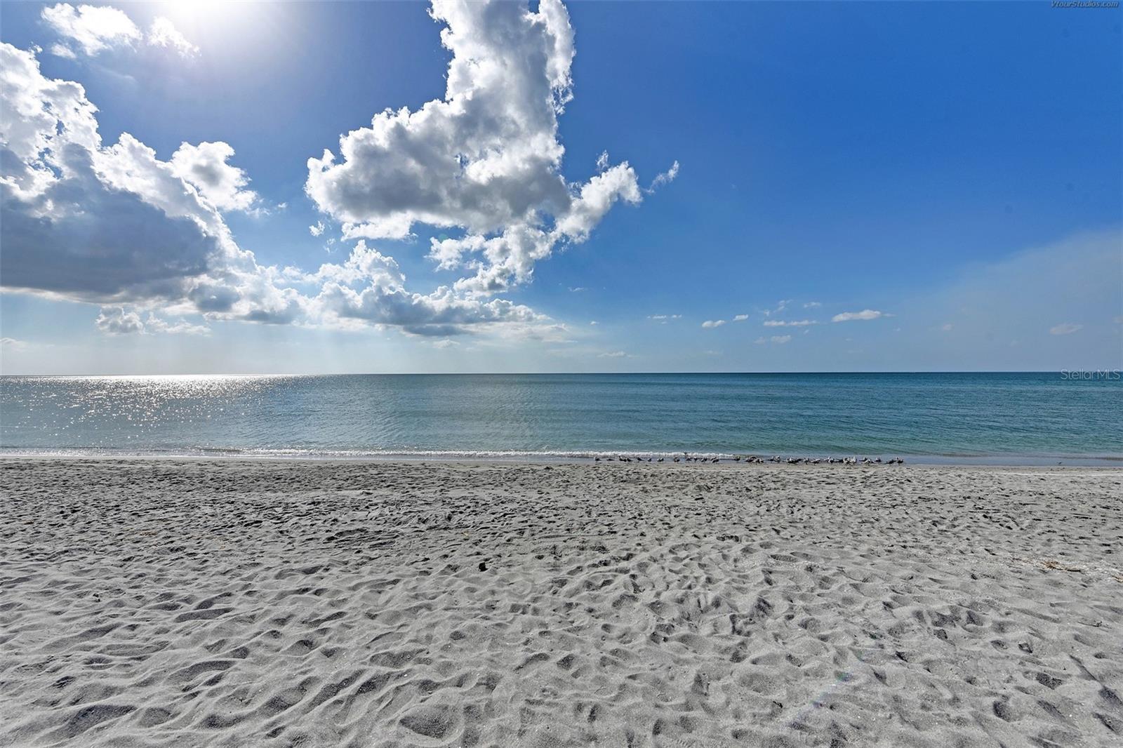 608 HIBISCUS DR, VENICE, FL, 34285