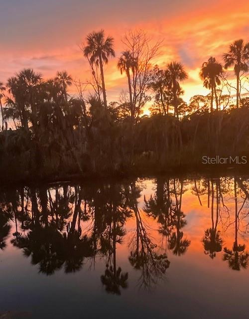 8117 RIVER POINT DR, WEEKI WACHEE, FL, 34607