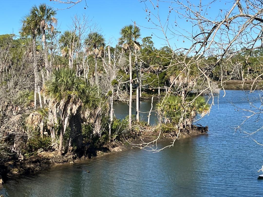 8117 RIVER POINT DR, WEEKI WACHEE, FL, 34607