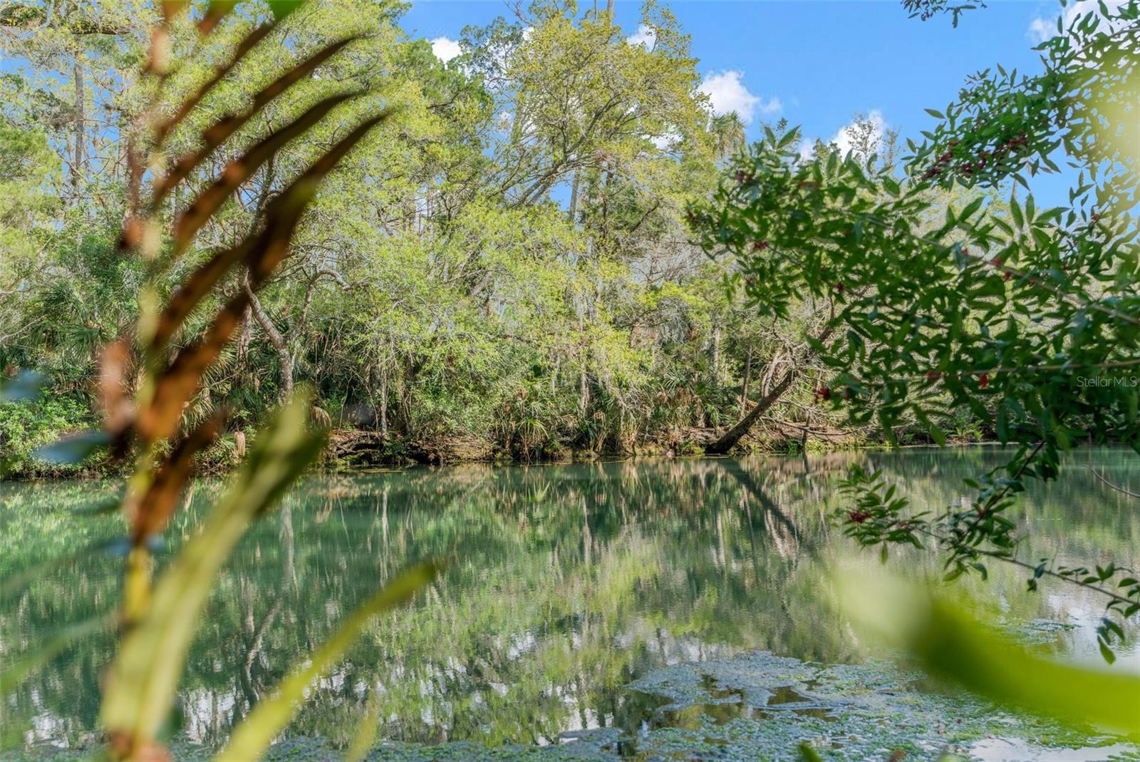 8117 RIVER POINT DR, WEEKI WACHEE, FL, 34607