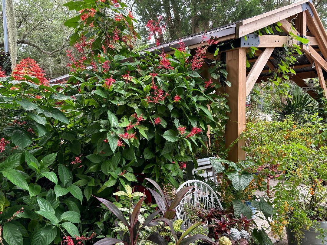 8117 RIVER POINT DR, WEEKI WACHEE, FL, 34607