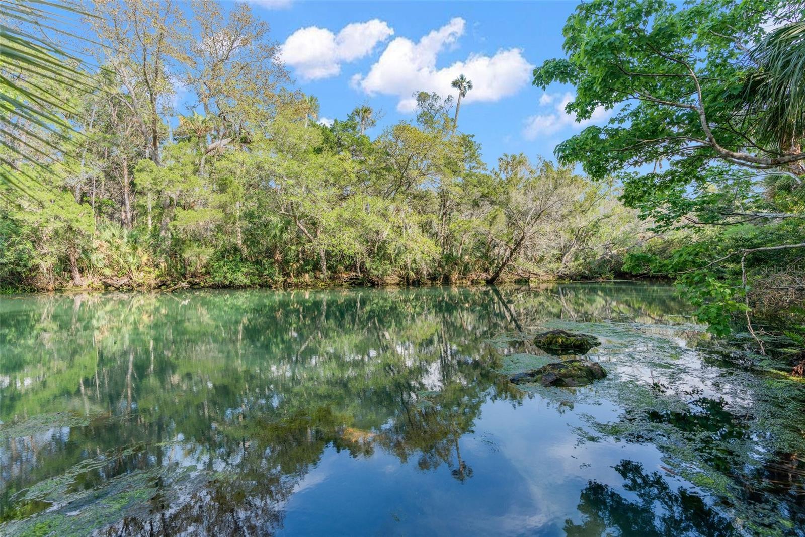 8117 RIVER POINT DR, WEEKI WACHEE, FL, 34607