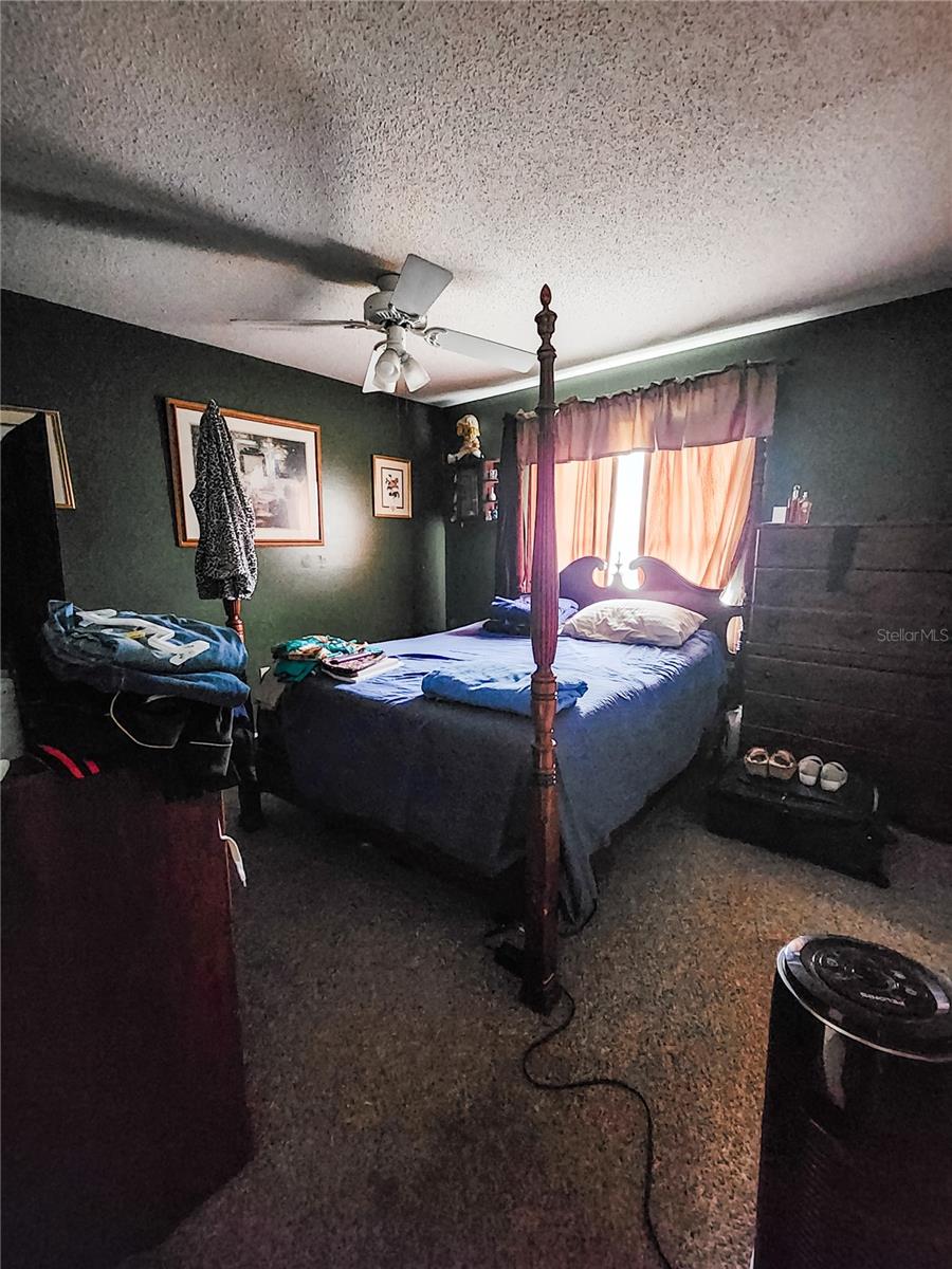 4905 TONI AVE, LAKELAND, FL, 33812