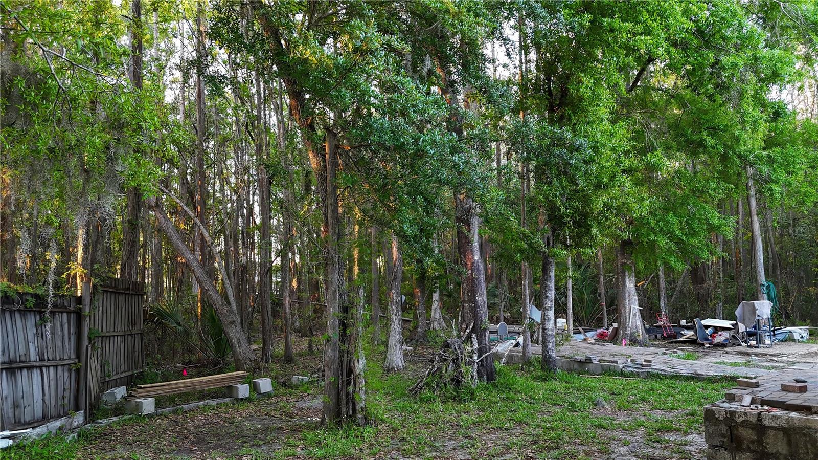 4116 WOODACRE LN, TAMPA, FL, 33624