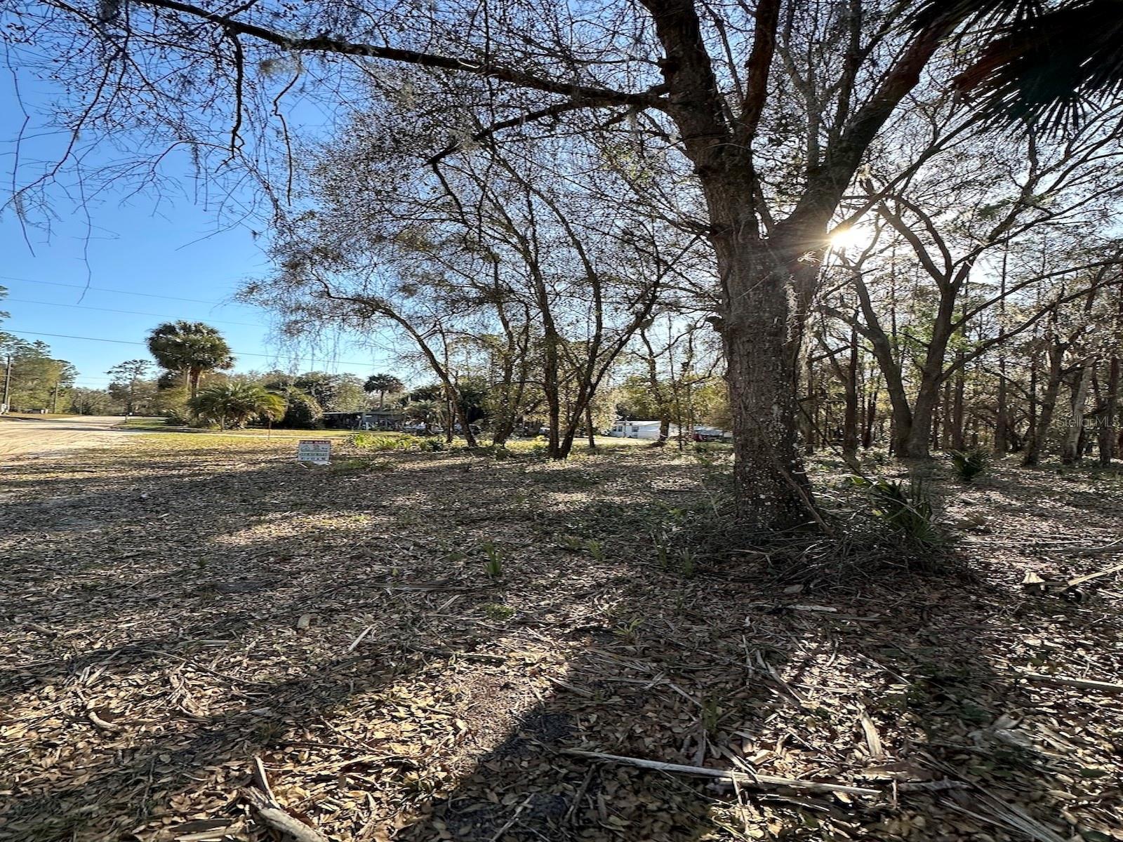 TBD NE 151ST LN, FORT MC COY, FL, 32134