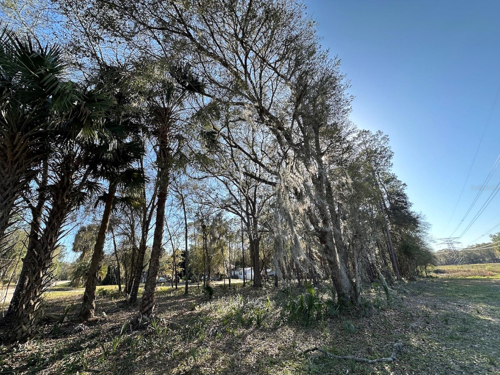 TBD NE 151ST LN, FORT MC COY, FL, 32134
