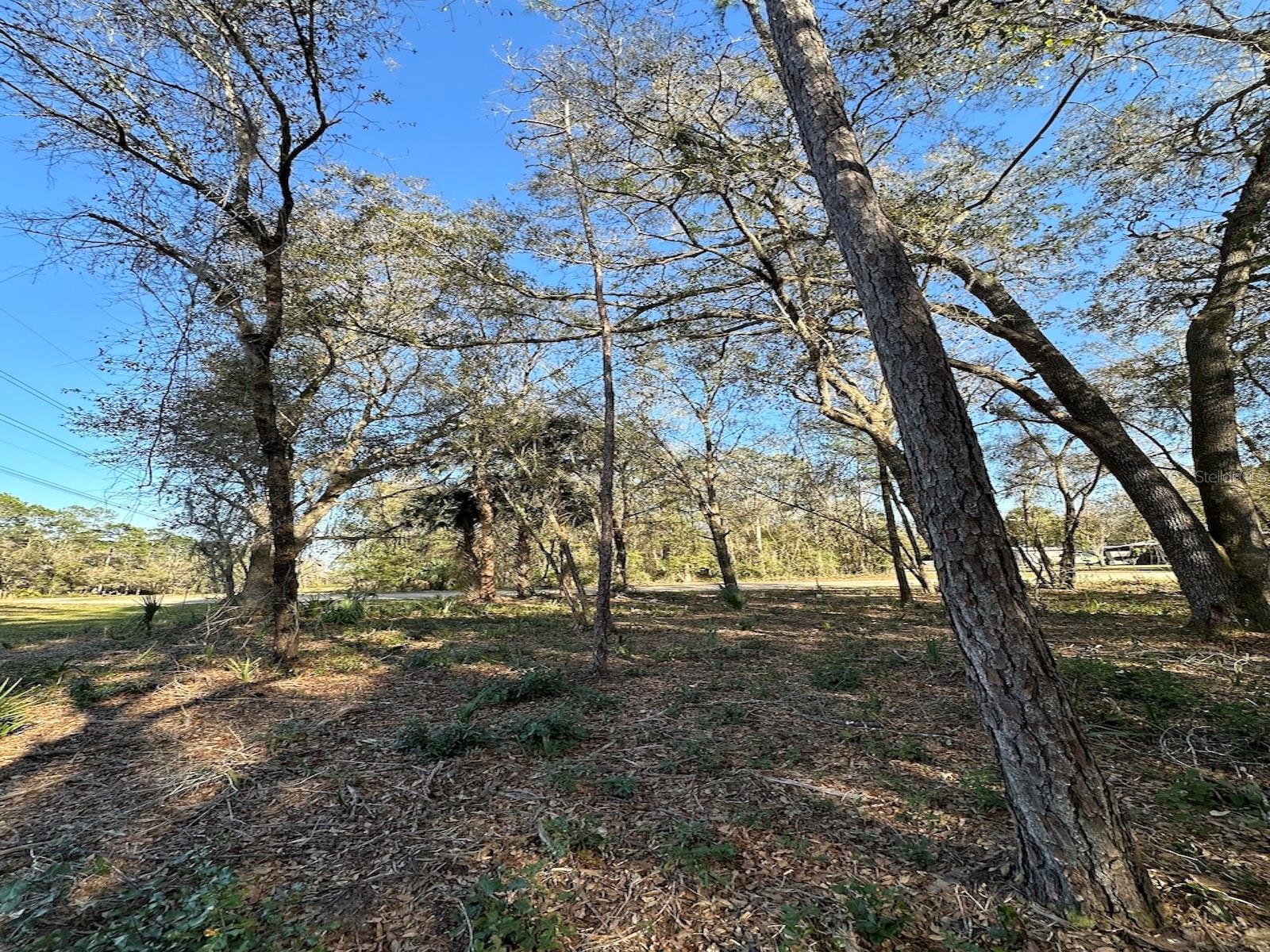 TBD NE 151ST LN, FORT MC COY, FL, 32134