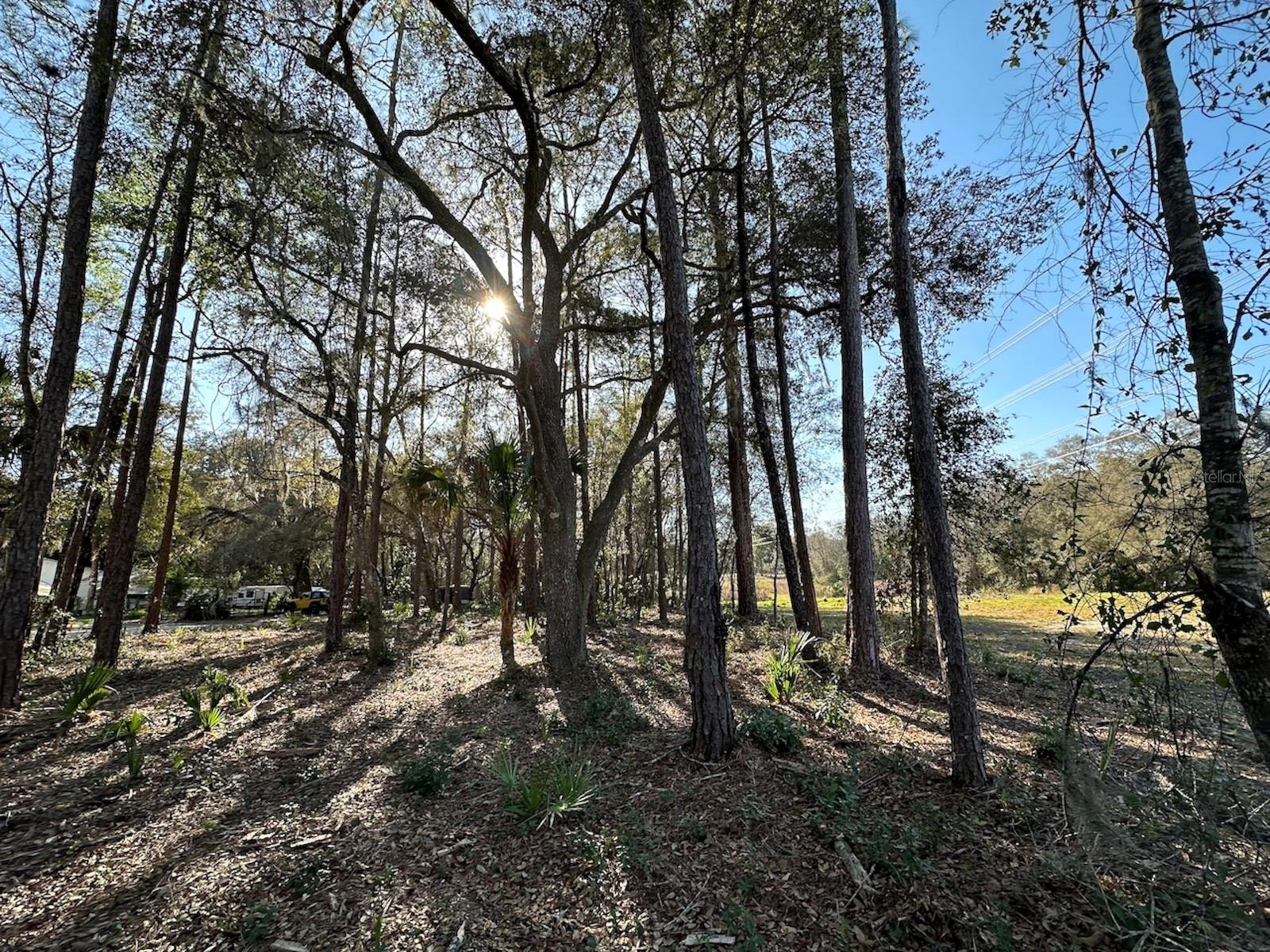 TBD NE 151ST LN, FORT MC COY, FL, 32134