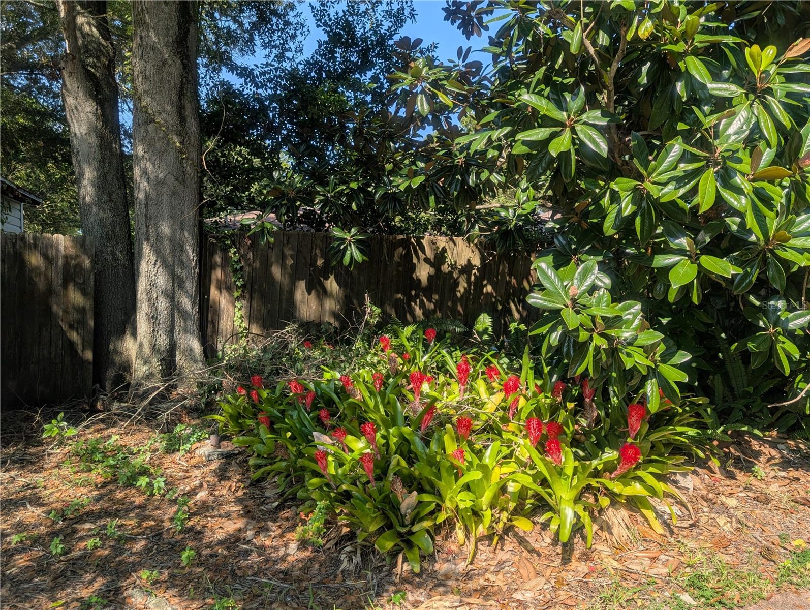 6144 10TH AVE S, GULFPORT, FL, 33707