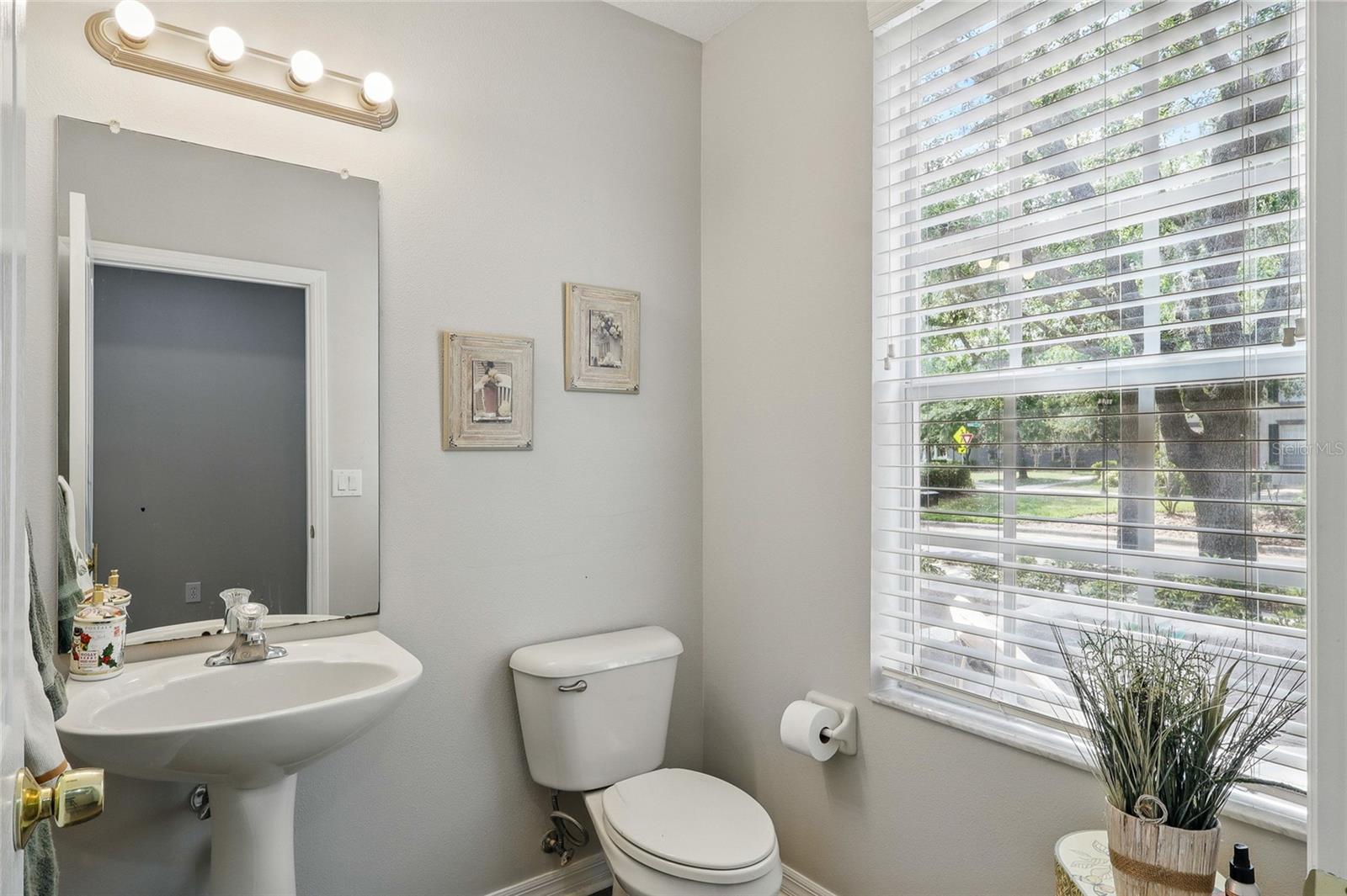 6134 FISHHAWK CROSSING BLVD, LITHIA, FL, 33547