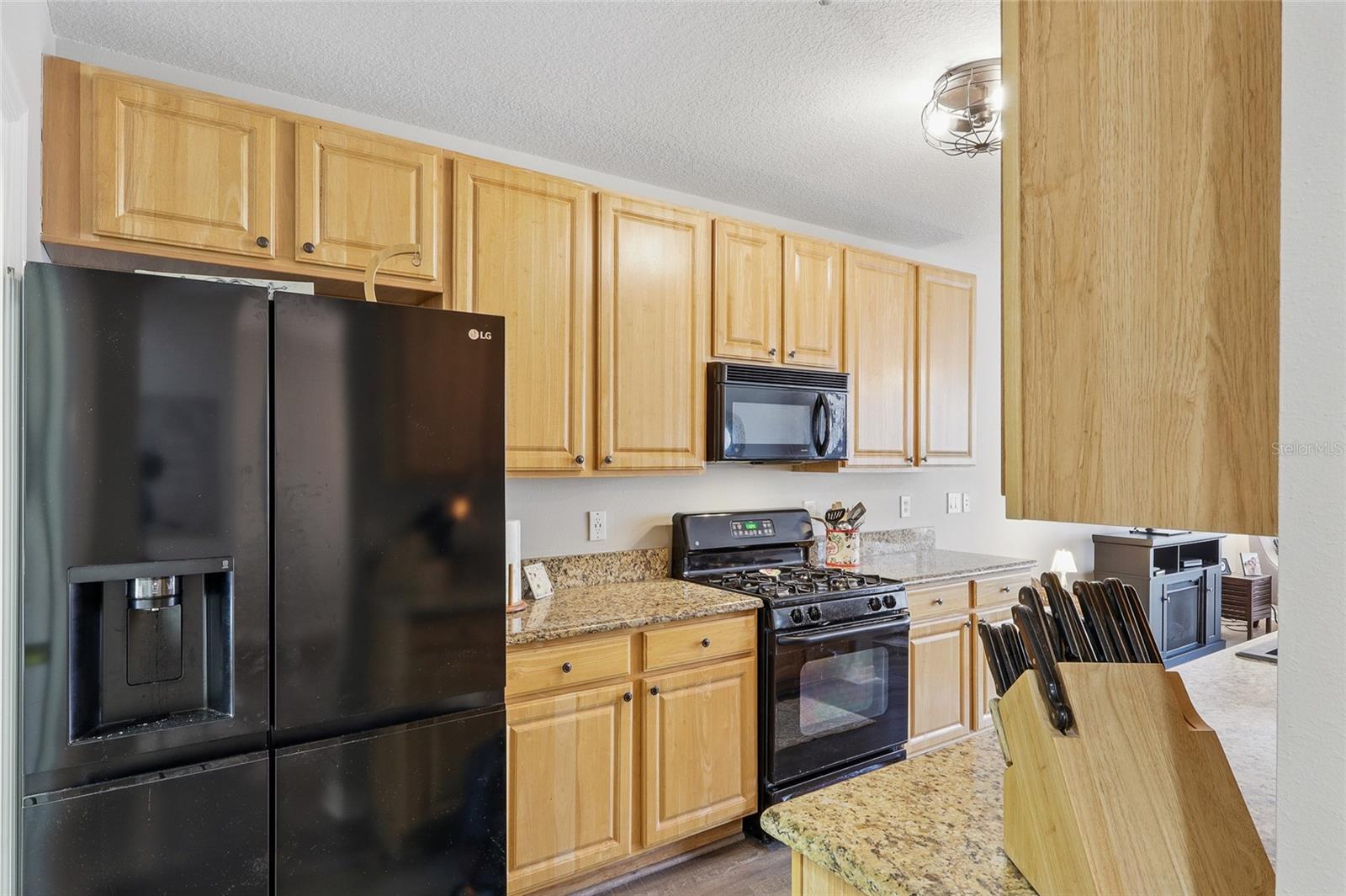 6134 FISHHAWK CROSSING BLVD, LITHIA, FL, 33547
