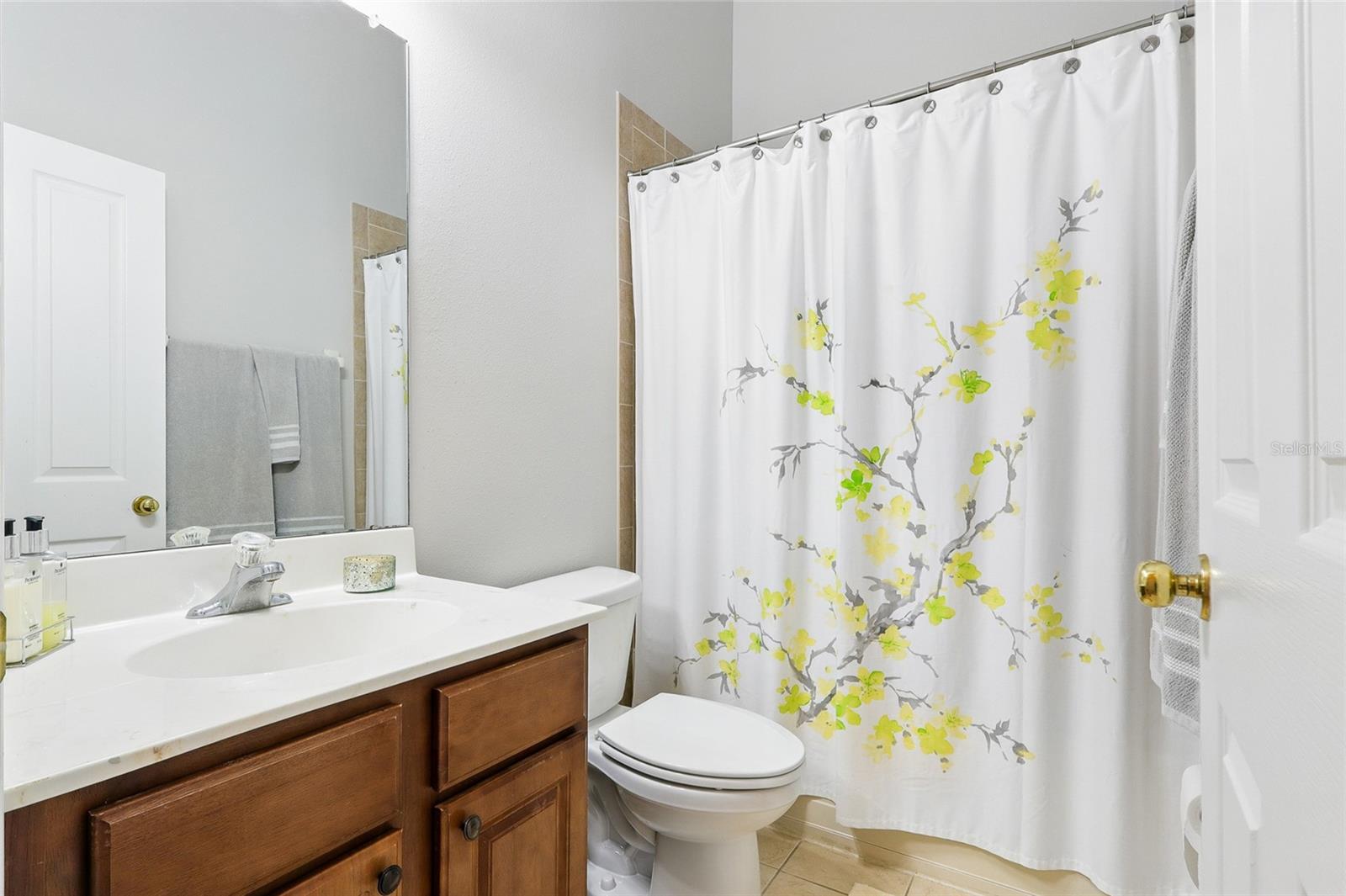 6134 FISHHAWK CROSSING BLVD, LITHIA, FL, 33547