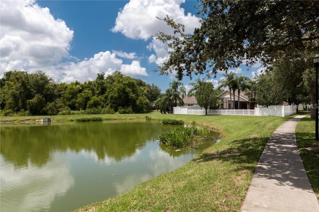 7139 COLONY POINTE DR, RIVERVIEW, FL, 33578