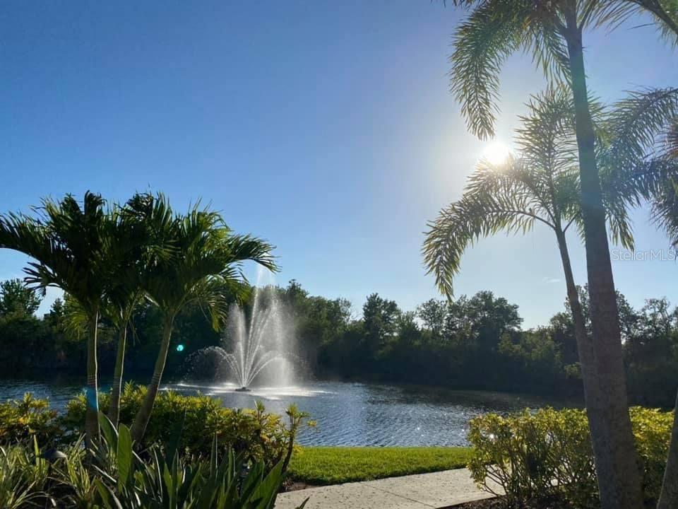 2282 SIFIELD GREENS WAY #54, SUN CITY CENTER, FL, 33573