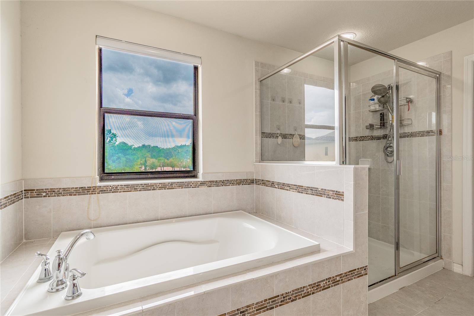 11027 TAHITI ISLE LN, TAMPA, FL, 33647