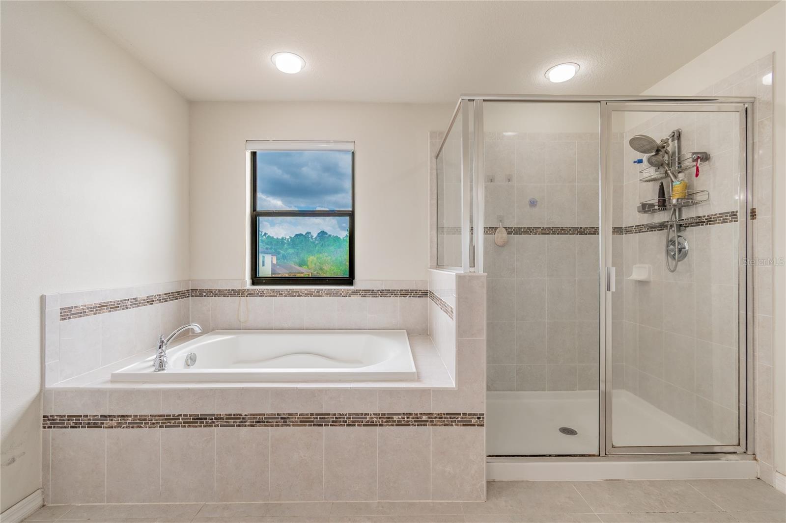 11027 TAHITI ISLE LN, TAMPA, FL, 33647