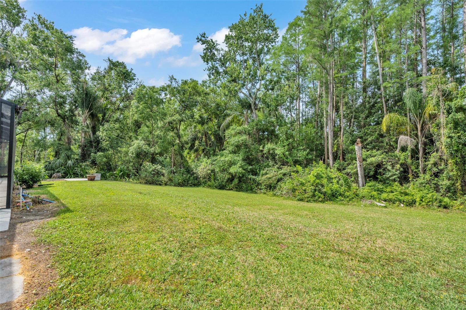 4520 PINE HOLLOW DR, TAMPA, FL, 33624