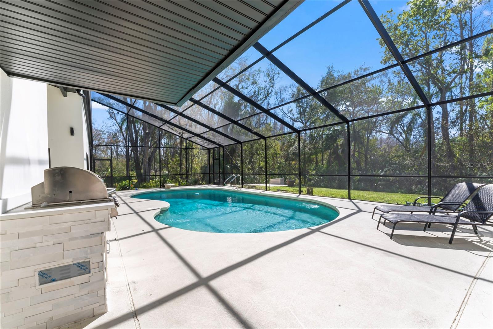 4520 PINE HOLLOW DR, TAMPA, FL, 33624