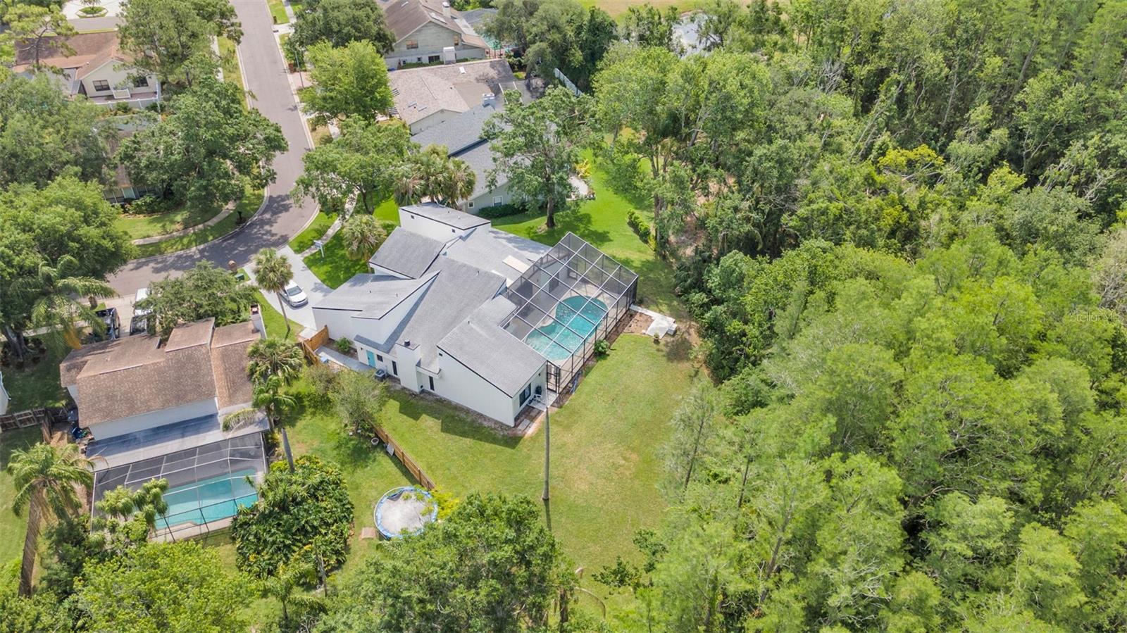 4520 PINE HOLLOW DR, TAMPA, FL, 33624