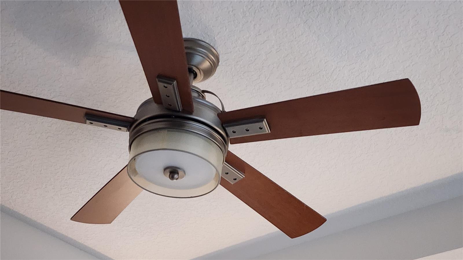 16150 PARKWYN ST, WINTER GARDEN, FL, 34787