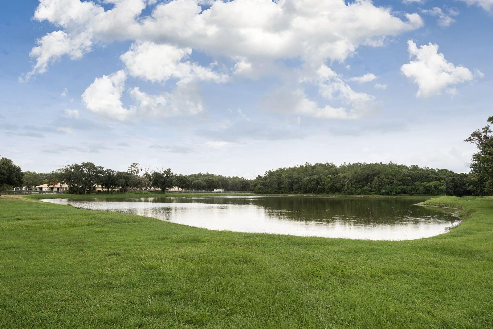 637 JETSTAR LN, OLDSMAR, FL, 34677