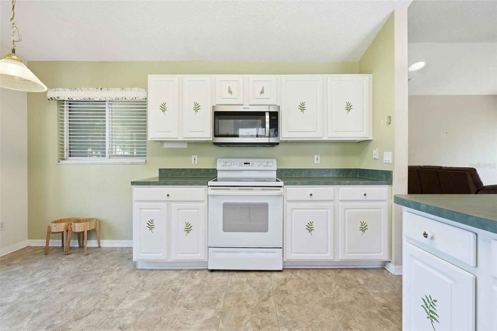 4020 CAPLAND AVE, CLERMONT, FL, 34711