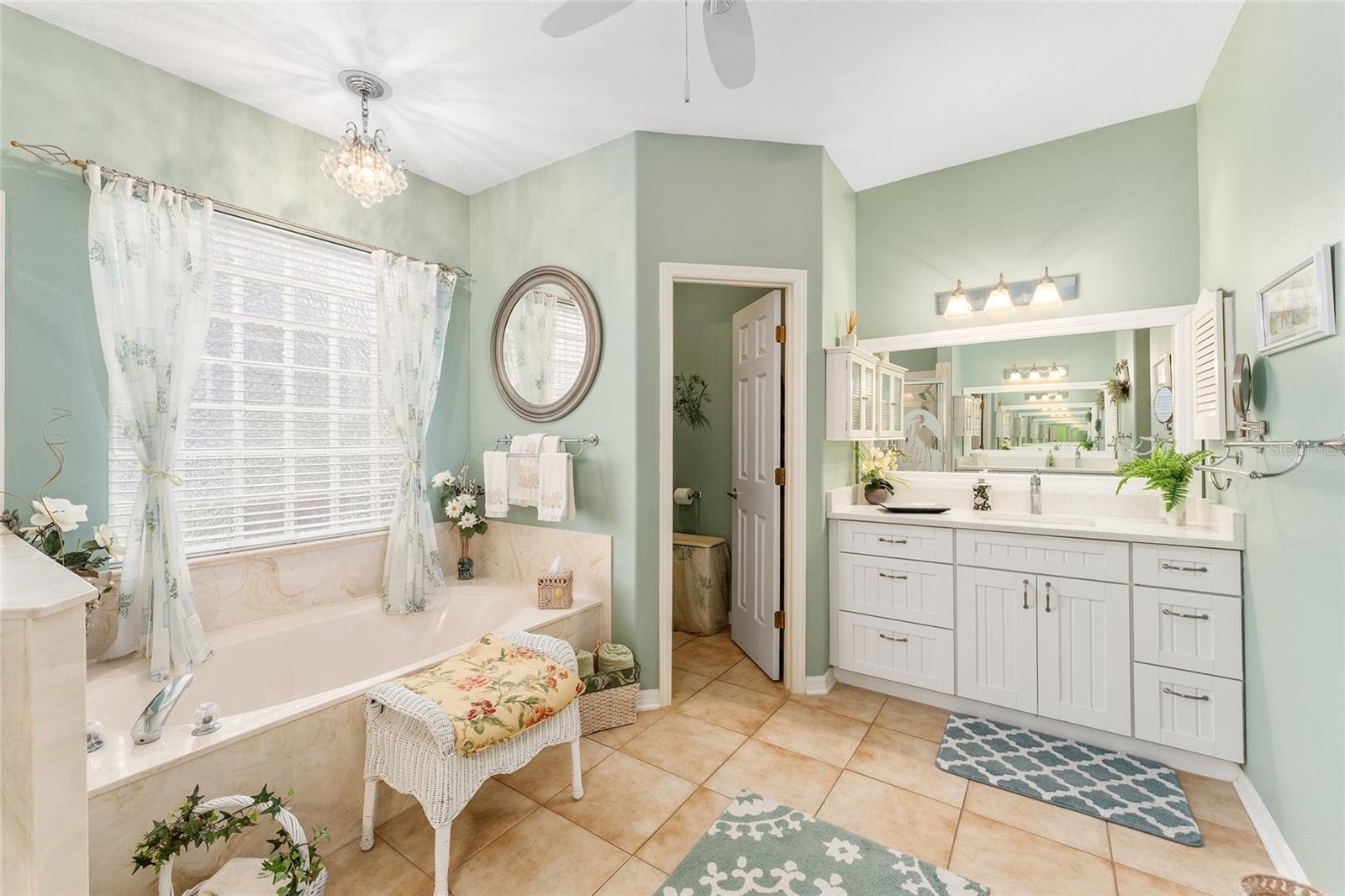 9894 SE 138TH LOOP, SUMMERFIELD, FL, 34491