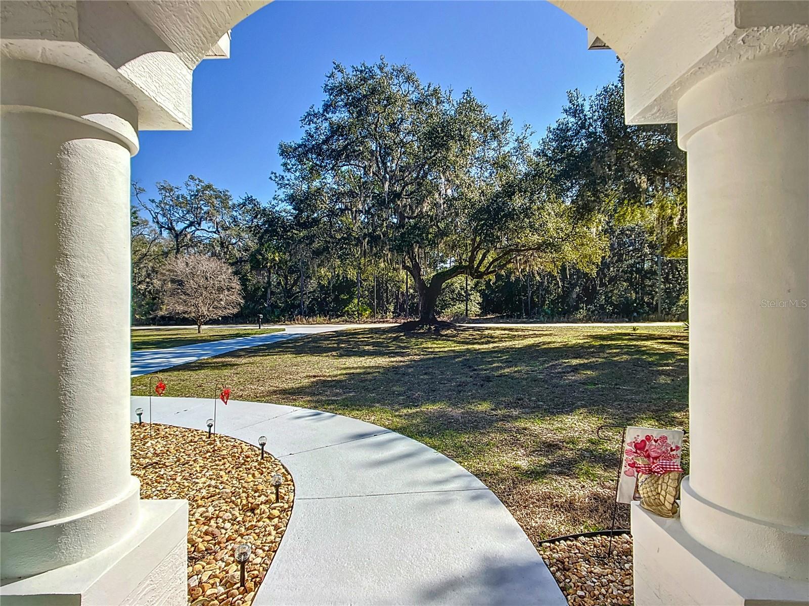 6390 N JASPER TER, CRYSTAL RIVER, FL, 34428