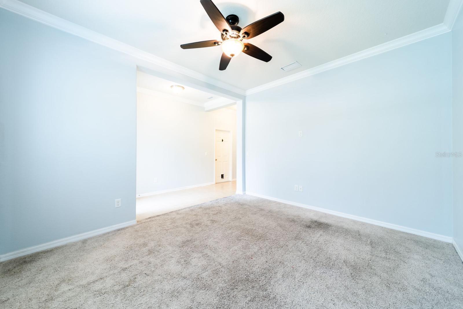 20227 AUTUMN FERN AVE, TAMPA, FL, 33647