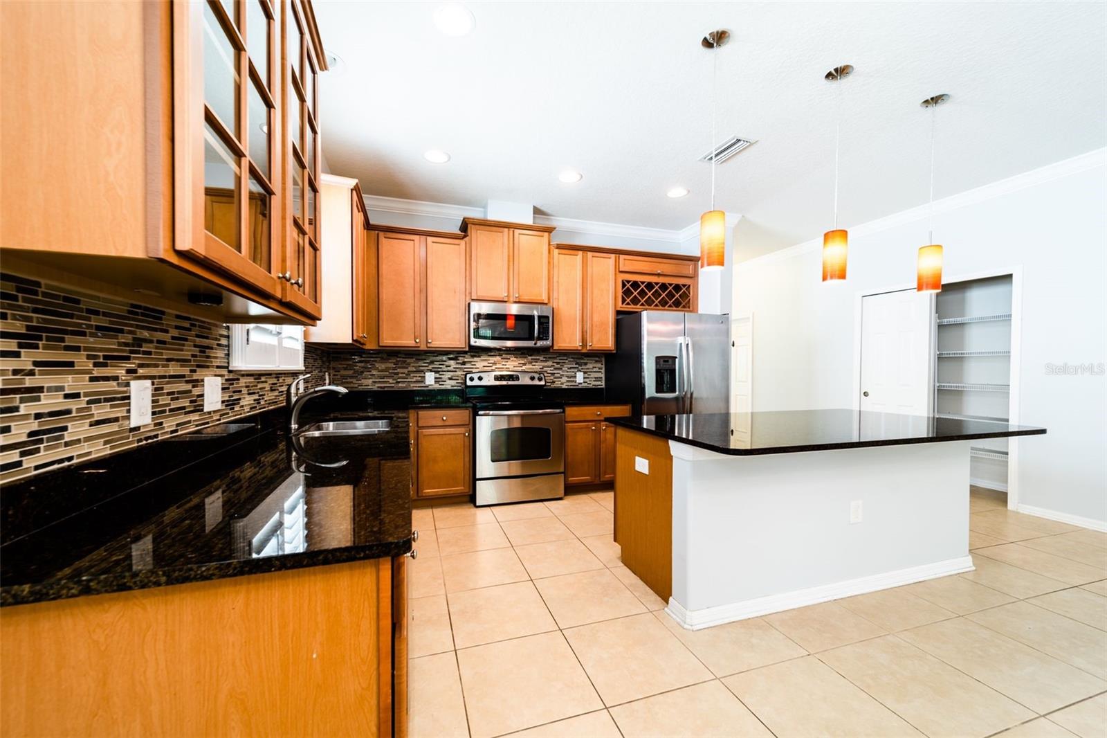 20227 AUTUMN FERN AVE, TAMPA, FL, 33647