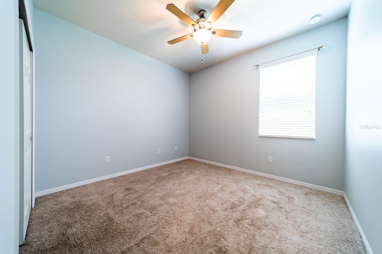 20227 AUTUMN FERN AVE, TAMPA, FL, 33647