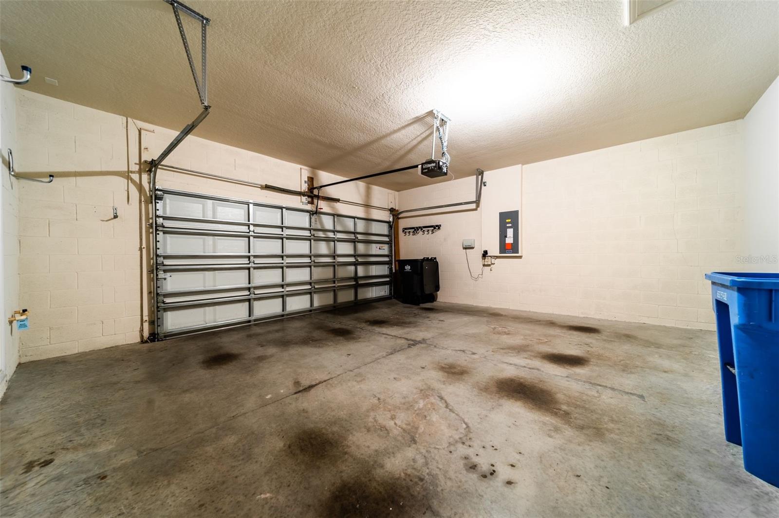 20227 AUTUMN FERN AVE, TAMPA, FL, 33647