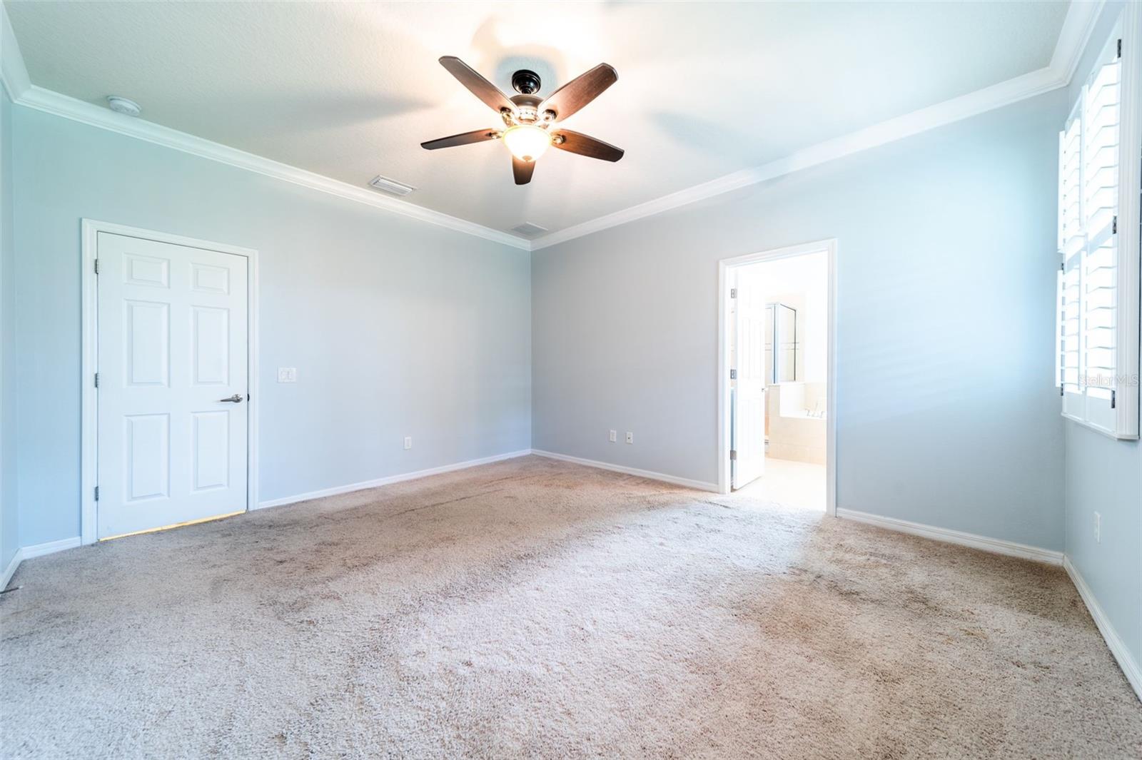 20227 AUTUMN FERN AVE, TAMPA, FL, 33647