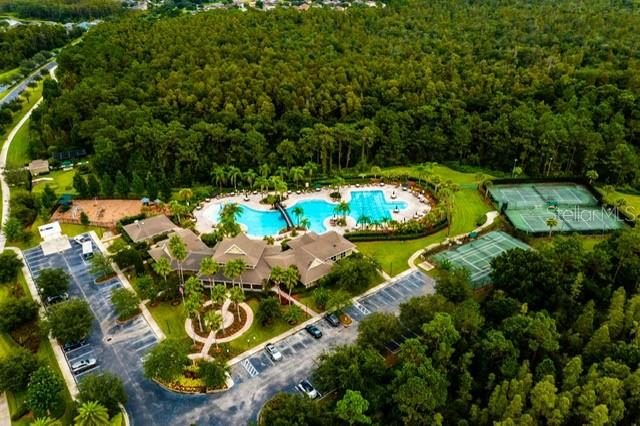 20227 AUTUMN FERN AVE, TAMPA, FL, 33647