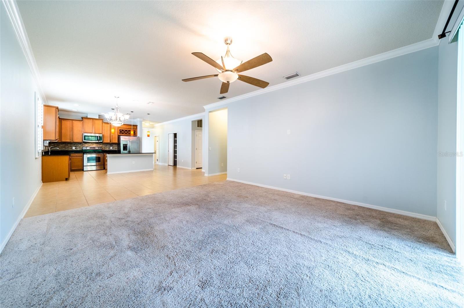 20227 AUTUMN FERN AVE, TAMPA, FL, 33647