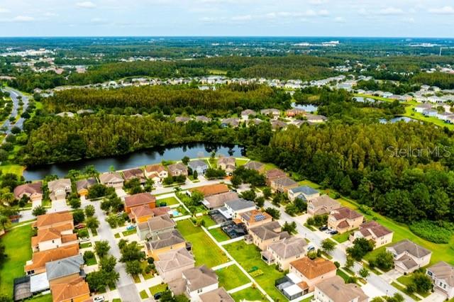 20227 AUTUMN FERN AVE, TAMPA, FL, 33647