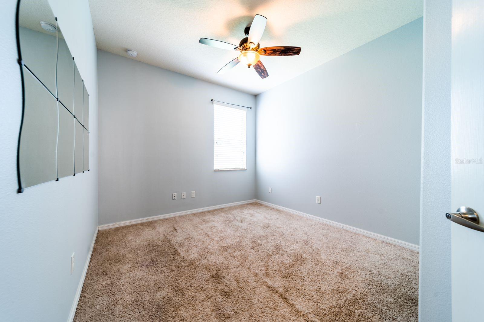 20227 AUTUMN FERN AVE, TAMPA, FL, 33647