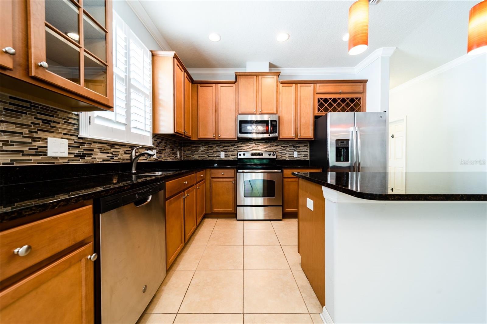 20227 AUTUMN FERN AVE, TAMPA, FL, 33647