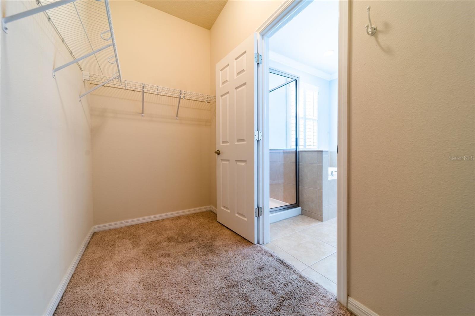 20227 AUTUMN FERN AVE, TAMPA, FL, 33647