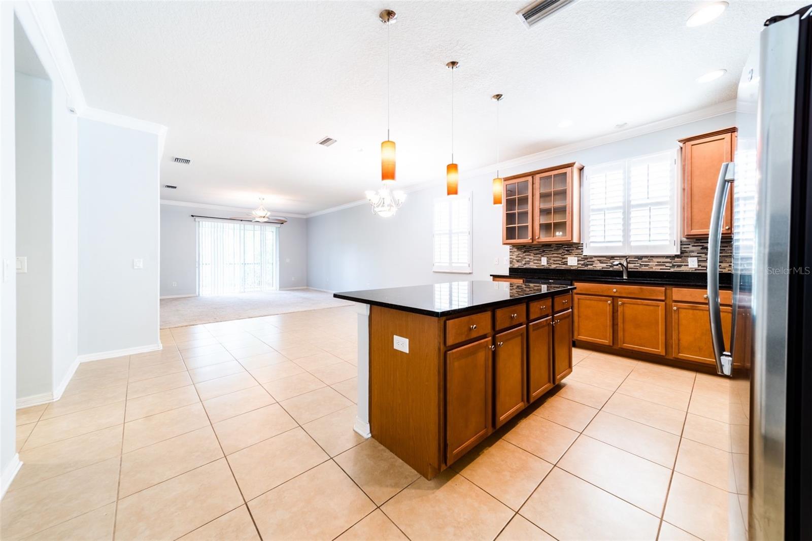 20227 AUTUMN FERN AVE, TAMPA, FL, 33647