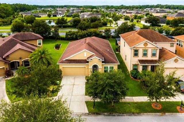 20227 AUTUMN FERN AVE, TAMPA, FL, 33647