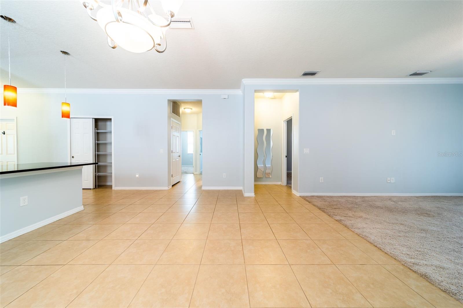 20227 AUTUMN FERN AVE, TAMPA, FL, 33647