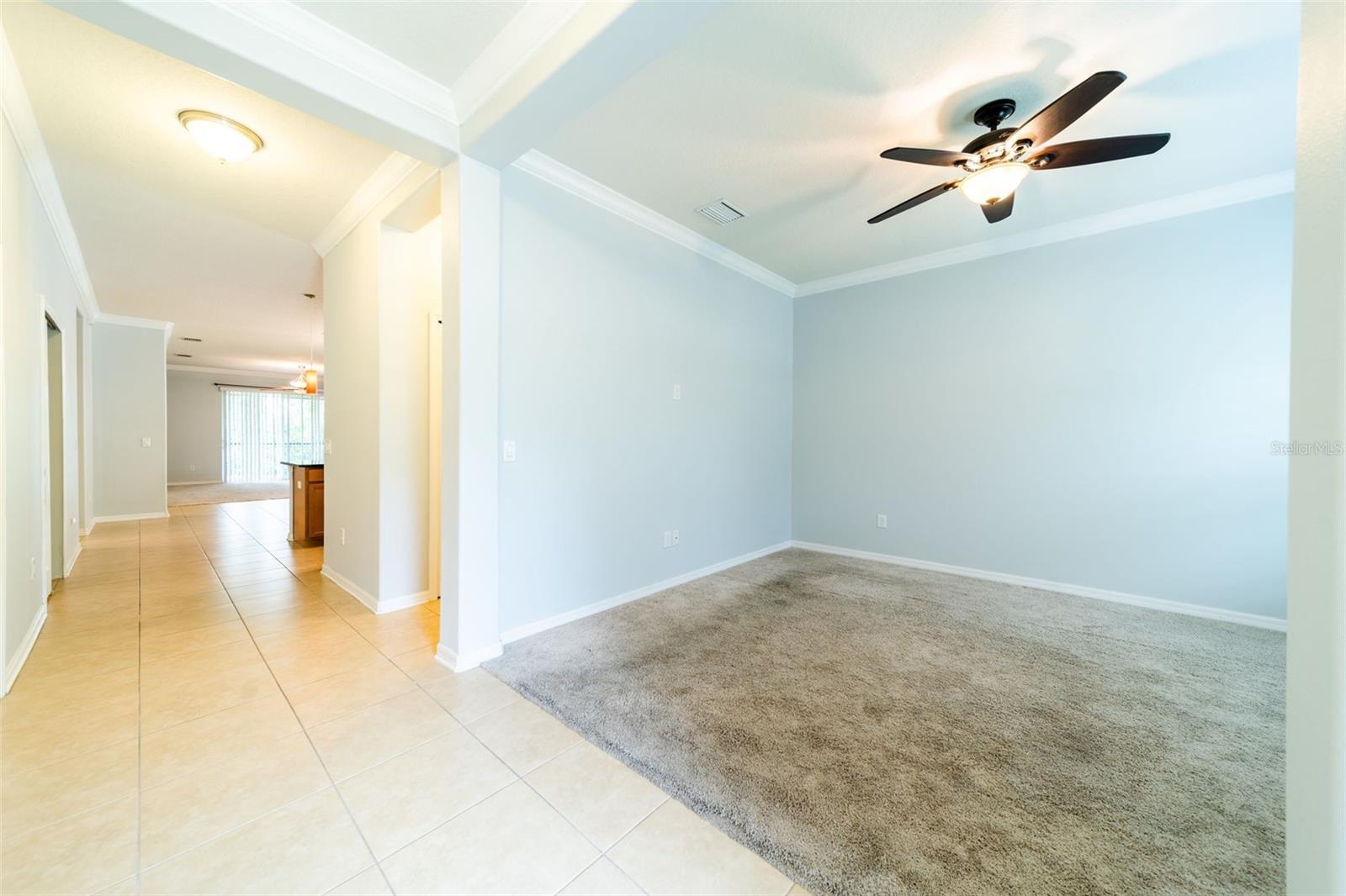 20227 AUTUMN FERN AVE, TAMPA, FL, 33647