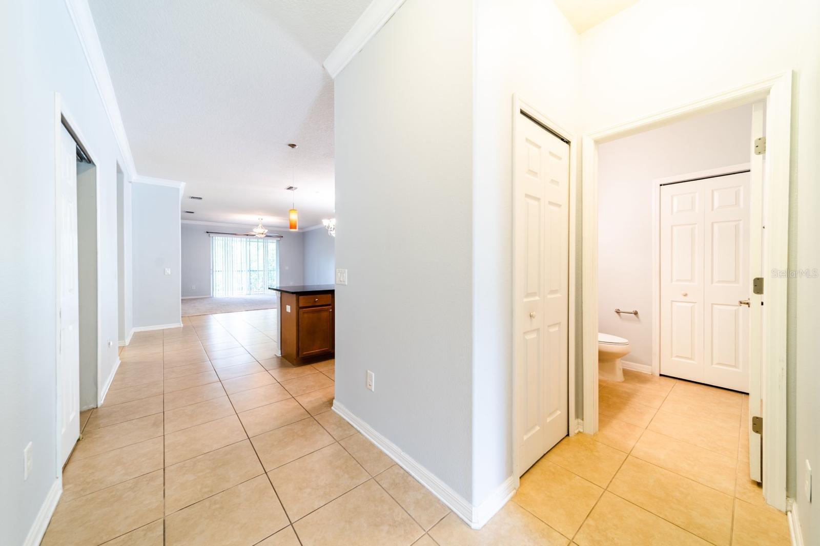 20227 AUTUMN FERN AVE, TAMPA, FL, 33647
