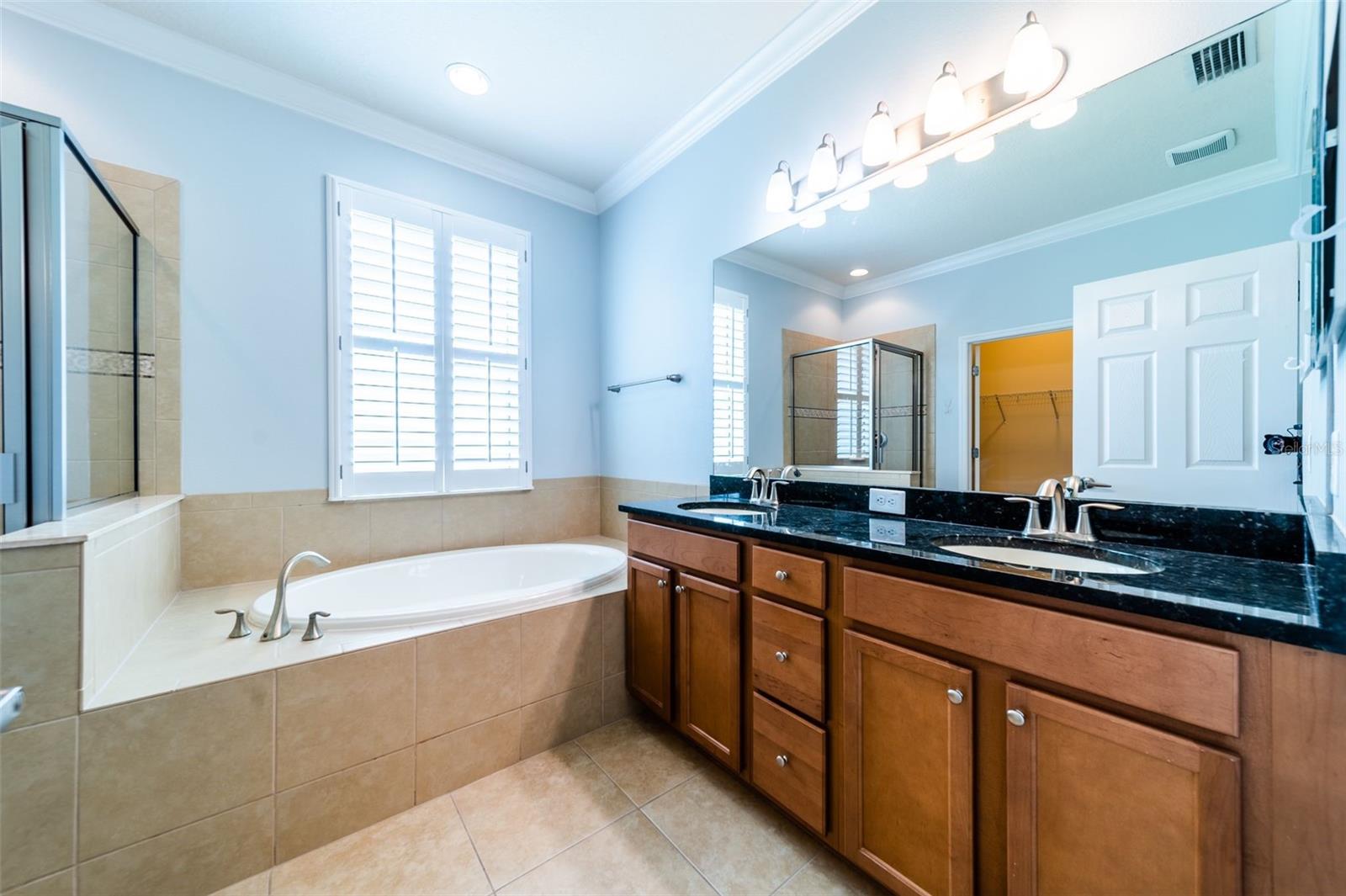 20227 AUTUMN FERN AVE, TAMPA, FL, 33647