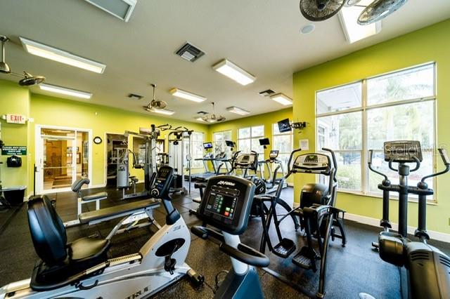 20227 AUTUMN FERN AVE, TAMPA, FL, 33647