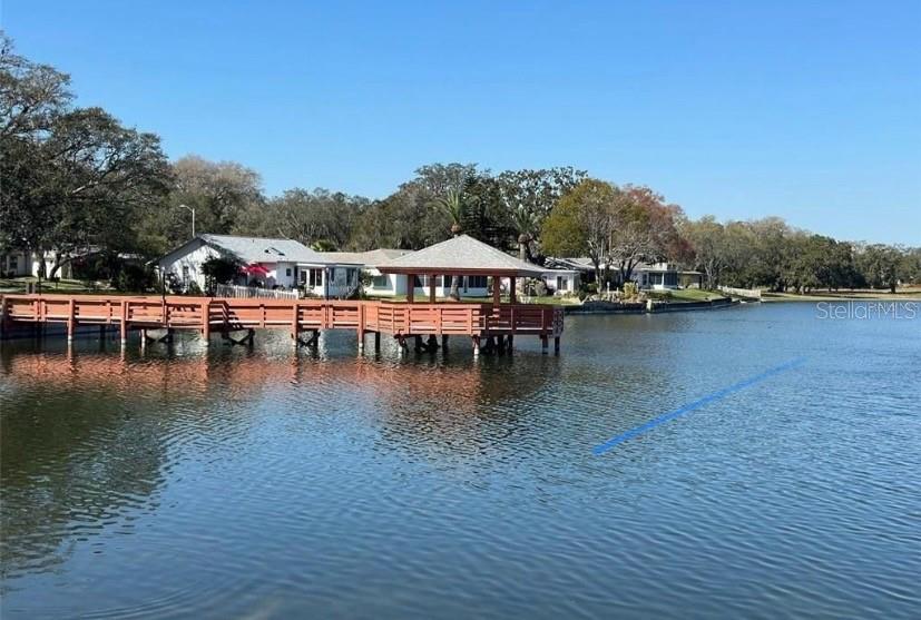 8161 BRADDOCK CIR #1, PORT RICHEY, FL, 34668