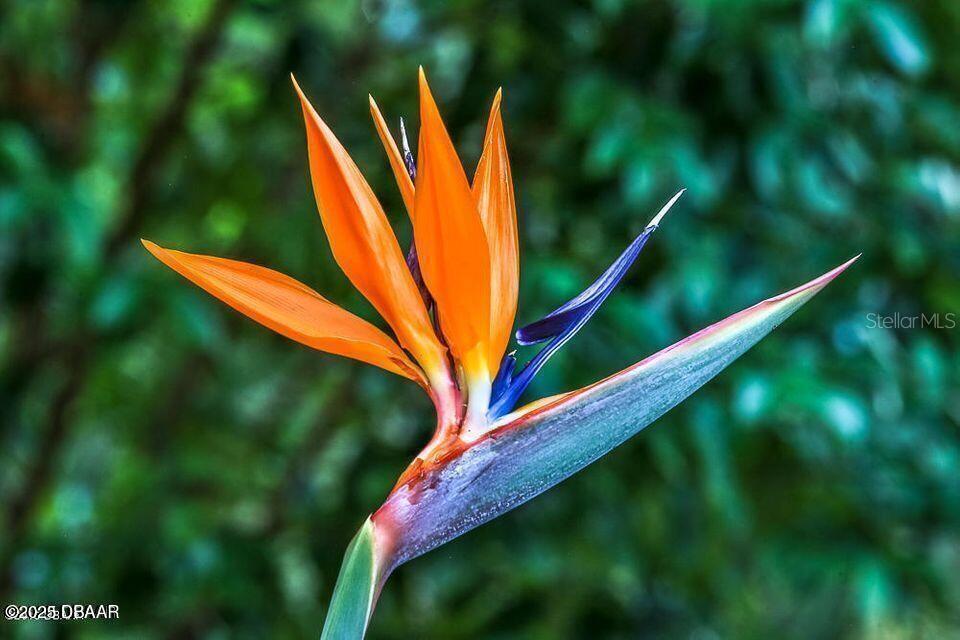 3 OCEANS WEST BLVD #7C6, DAYTONA BEACH SHORES, FL, 32118