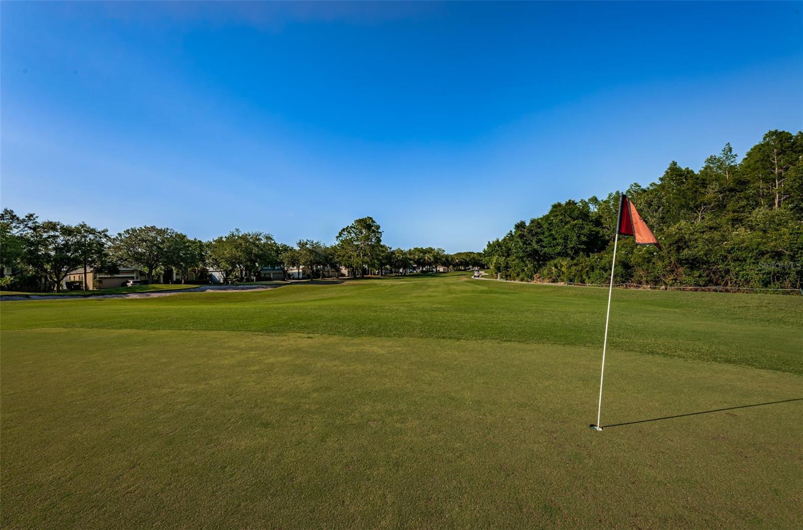 18186 SANDY POINTE DR, TAMPA, FL, 33647